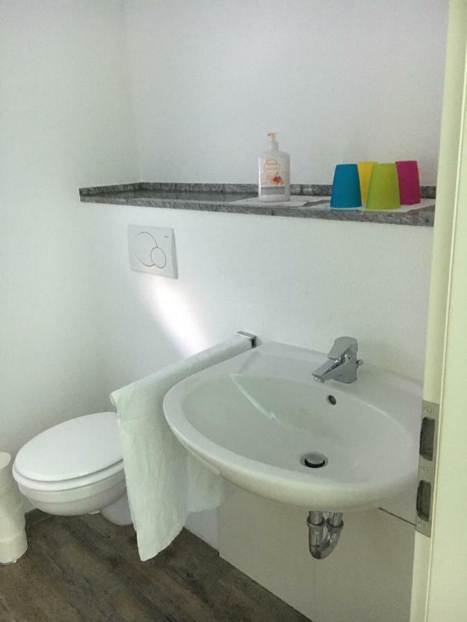 Ferienwohnung Pfeifer فريدريشدورف المظهر الخارجي الصورة